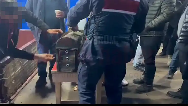 Horoz Dövüştürüp Kumar Oynayan 54 Kişi Yakalandı