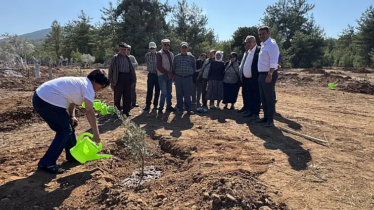 İlkokul öğrencileri 300 zeytin fidanını toprakla buluşturdu !