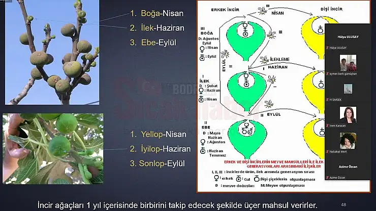 İncir Yetiştiriciliği Eğitimi Verildi
