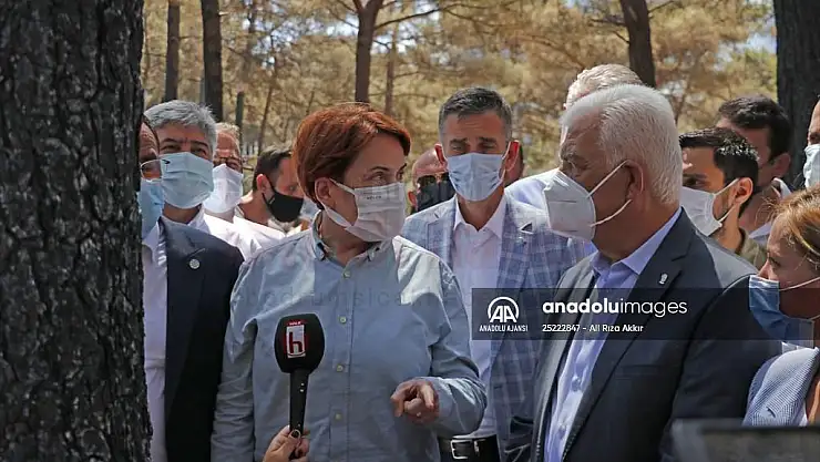 İYİ Parti Genel Başkanı Akşener, Marmaris'te yanan alanda inceleme yaptı