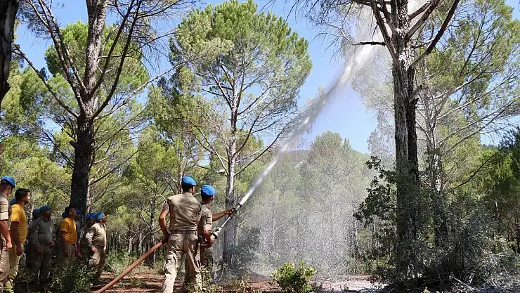 Jandarma Ekipleri Orman Yangınlarına Hazır