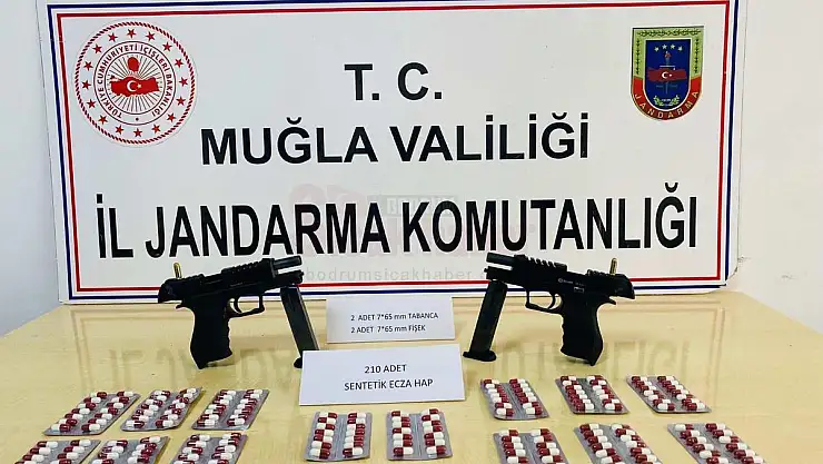 Jandarma Ekiplerinin Yaptığı Operasyonda  210 Adet Hap ve Çeşitli Silahlar Ele Geçirildi