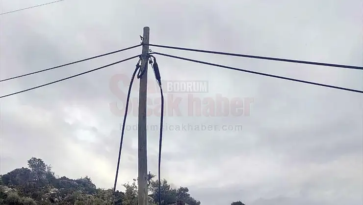 Kablo Hırsızlığı İddiasıyla 2 Zanlı Tutuklandı