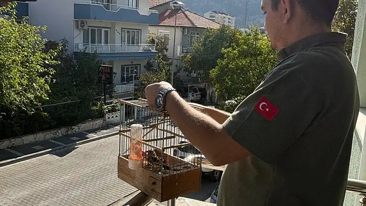 Kaçak Avcılık Yapan Kişiye Para Cezası Kesildi