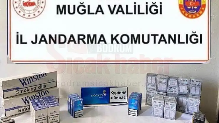 Kaçak Sigara Operasyonu