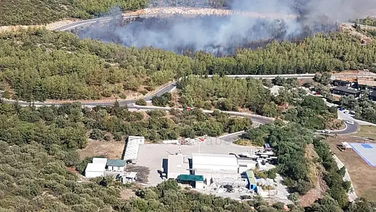 Kaplankaya Mevkiinde Çıkan Yangına Havadan ve Karadan Müdahale Ediliyor