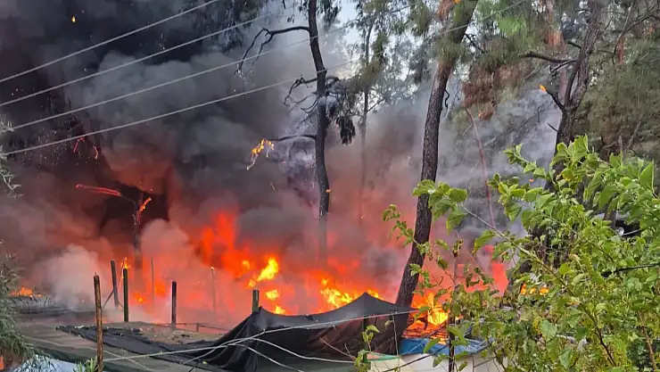 Karavan ve bungolovlar küle döndü