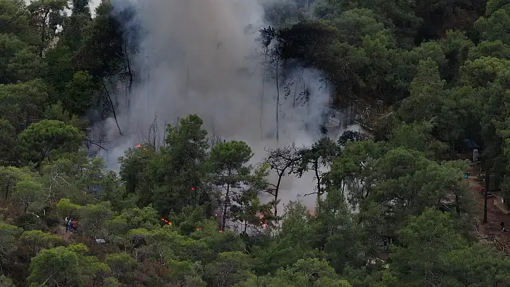 Karavanda çıkan yangın ormana sıçradı
