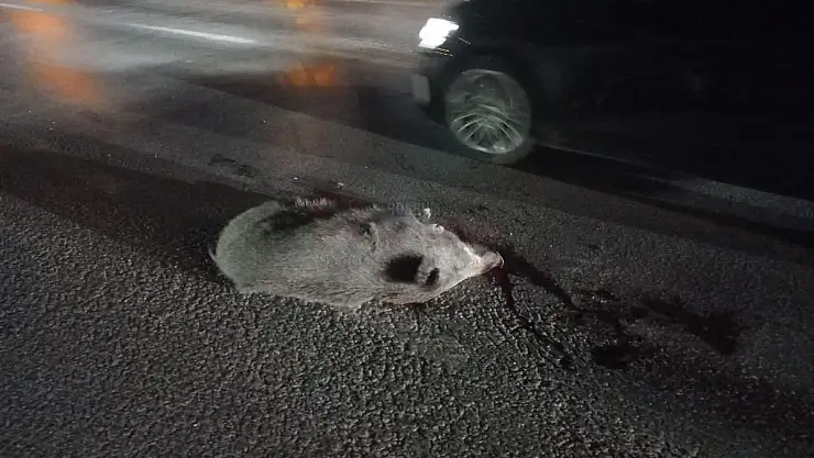 Karşıdan Karşıya Geçmek İsterken Öldü