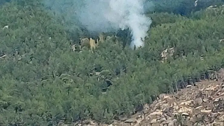 Kavaklıdere'de yangın