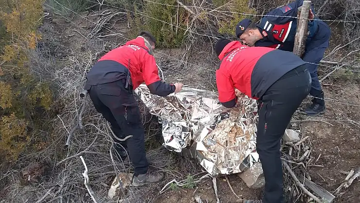 Kaybolan Kişi Ormanda Ölü Bulundu