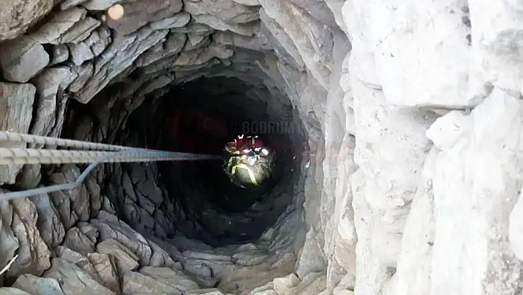 Keçiler 15 Metrelik Kuyuya Düştü