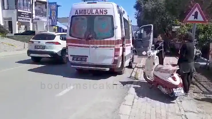 Kediye Çarpıp Düştü