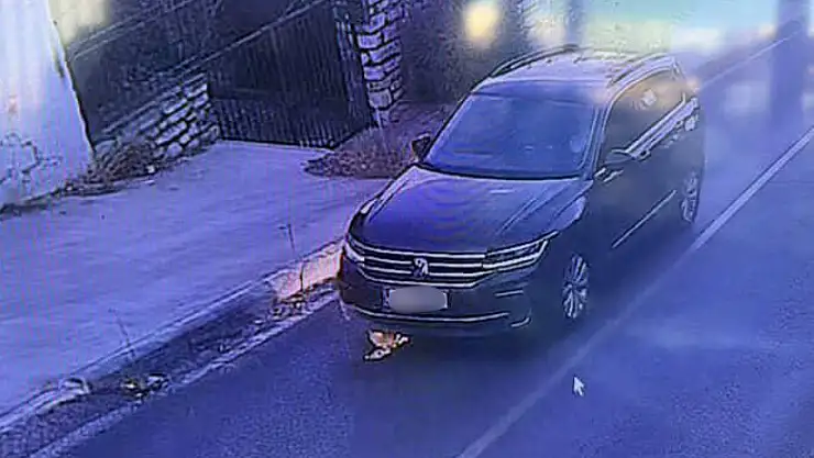 Kediyi ezip yoluna devam etti !