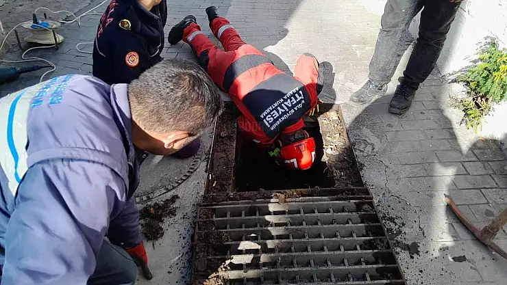 Kediyi Kurtarmak İçin Seferber Oldular
