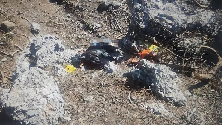 Kestiği Ağacın Altında Kalarak Hayatını Kaybetti