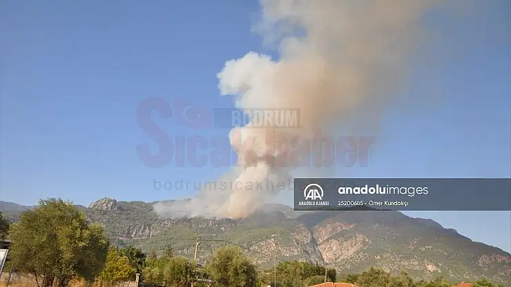 Köyceğiz'de çıkan orman yangını kontrol altına alınmaya çalışılıyor