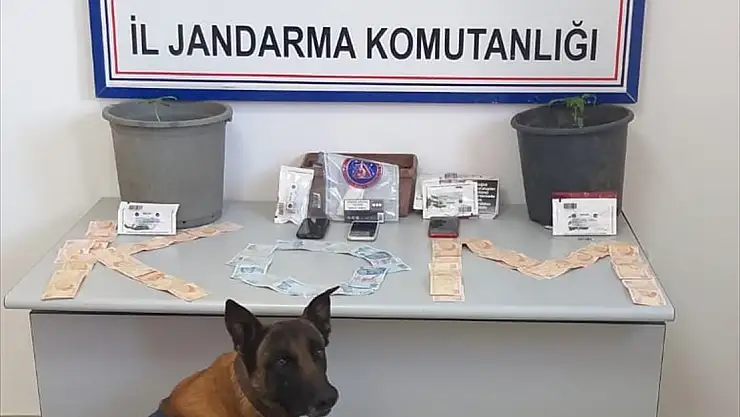 Köyceğiz'de uyuşturucu operasyonunda 4 şüpheli yakalandı