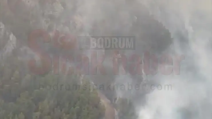 Köyceğiz'deki orman yangını kontrol altına alındı