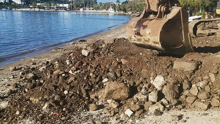 Kum Zambakları Yaşam Alanları Üstüne Hafriyat Dökerek  Doldurdular