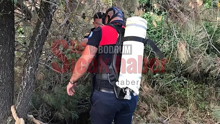 Kuyuya düşen 4 keçiden biri telef oldu