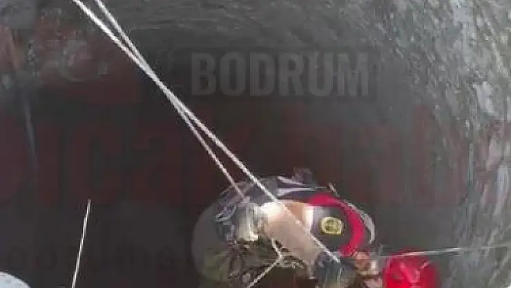 Kuyuya Düşen Buzağı'yı İtfaiye Kurtardı