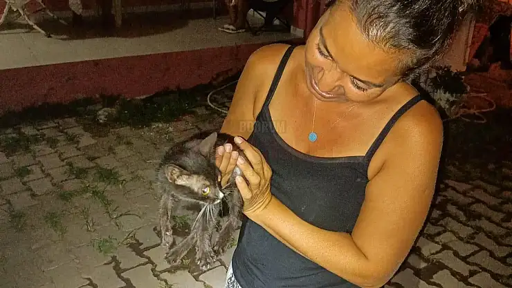 Kuyuya Düşen Kedi Ekiplerce Kurtarıldı