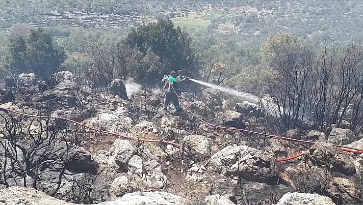Makilik alanda çıkan yangın söndürüldü