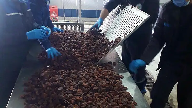 Malatya'da Üreticilerden Satın Alınan Kayısılar Ücretsiz Dağıtılacak