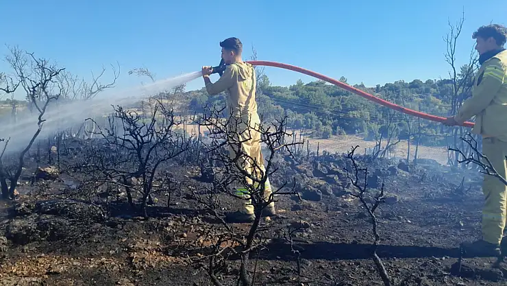 Menteşe'de çıkan yangın kontrol altına alındı !
