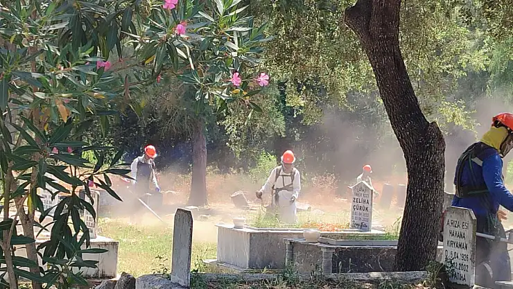 Mezarlıklar temizleniyor aileler ısınıyor !