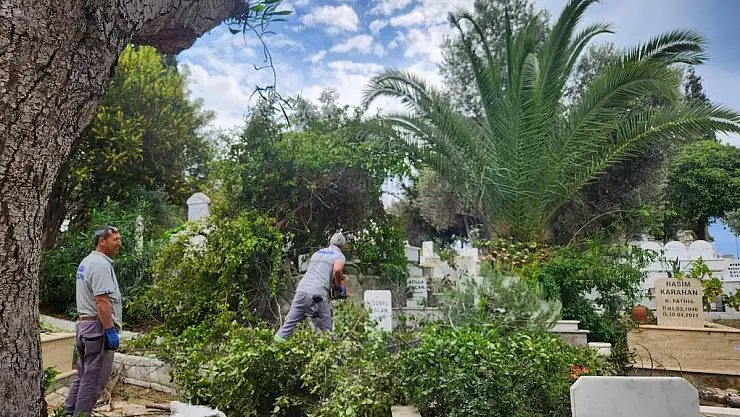 Mezarlıklarda Temizlik ve Bakım Çalışmaları