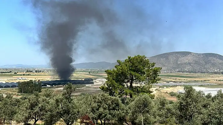 Milas'ta balık üretim tesisi'nde yangın paniği
