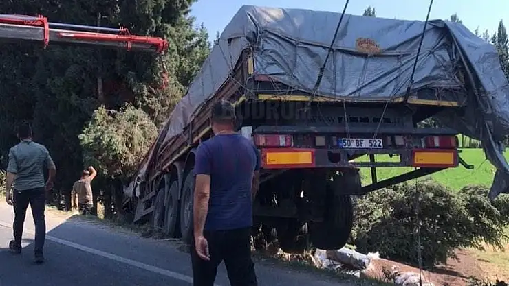 Milas'ta Balık Yemi Yüklü Tır Tarlaya Uçtu