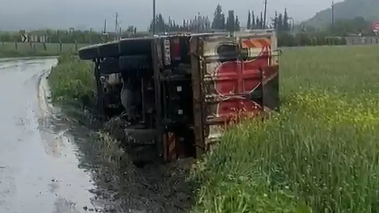 Milas'ta Dördüncü Tır Kazası: Kamyonet Tarlaya Yan Yattı