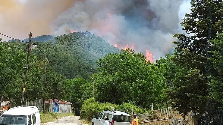 Milas'ta Orman Yangını