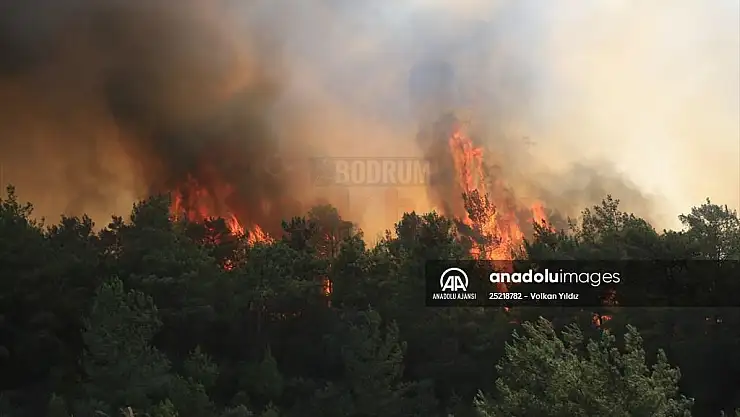Milas'ta ormanlık alanda çıkan yangın kontrol altına alınmaya çalışılıyor
