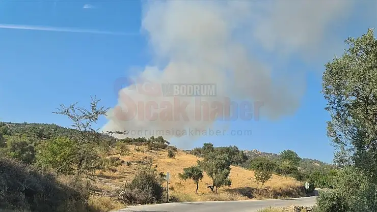 Milas'ta yangın söndürme  devam ederken  Yatağan ilçesinde ormanlık alanda  yangın başladı