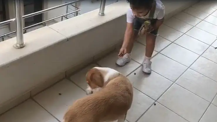 Minik Gökçe'den örnek davranış !