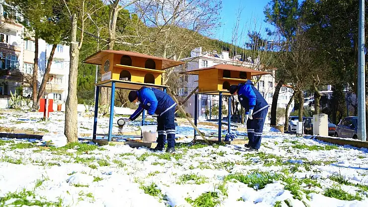 Muğla Genelinde Sokak Hayvanlarını Yalnız bırakmadılar