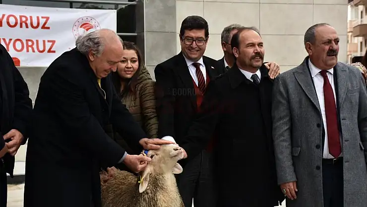 90 Kadın Üreticiye 900 Koyun ve 36 Koç Dağıtıldı