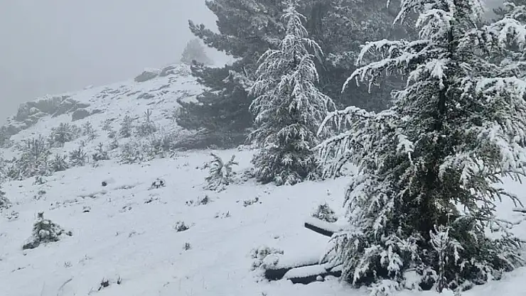 Muğla'nın zirvesi Göktepe'de yılın ilk karı yağdı