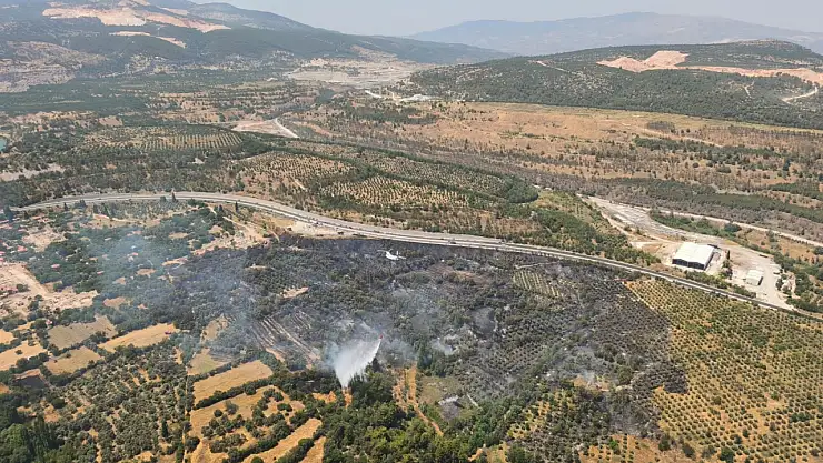 Muğla Stratonikeia Antik Kenti'ni etkileyen zirai alan yangını kontrol altına alındı