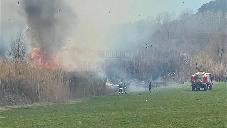 Muğla'da Sazlık Alanda Çıkan Yangın Söndürüldü
