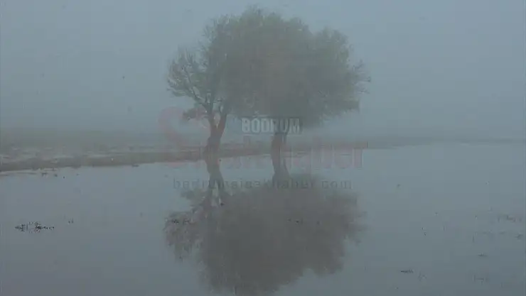 Muğla'da sis etkili oldu