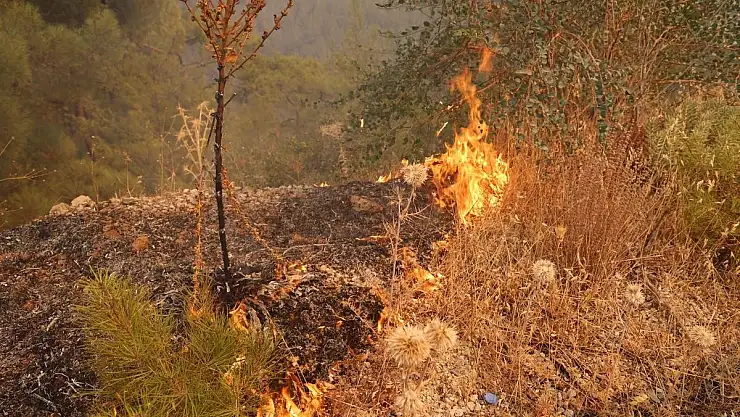 Muğla'daki Yangın Yolu Kapattı