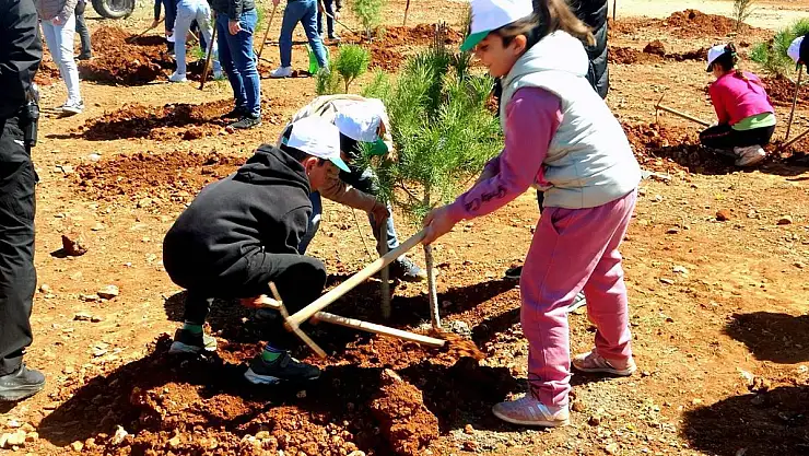Muğla'nın 11 İlçesinde, 11 Kasım'da, Saat 11.11'de Binlerce Fidan Toprakla Buluşacak