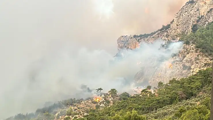 Muğla'yı Orman Yangınları Esir Aldı