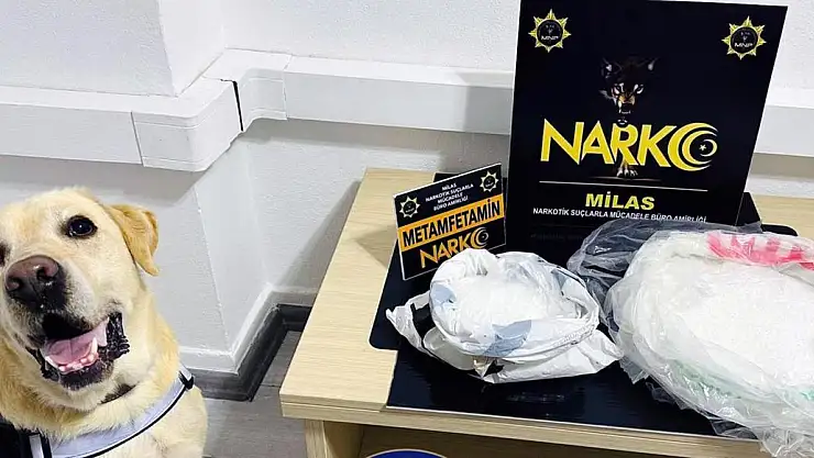 Narkotik Köpeği 'Çiko' Affetmiyor