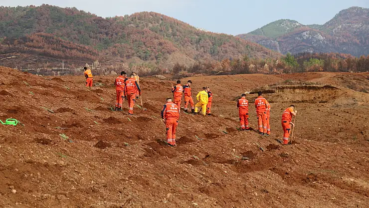 On binlerce fidan toprakla buluşacak